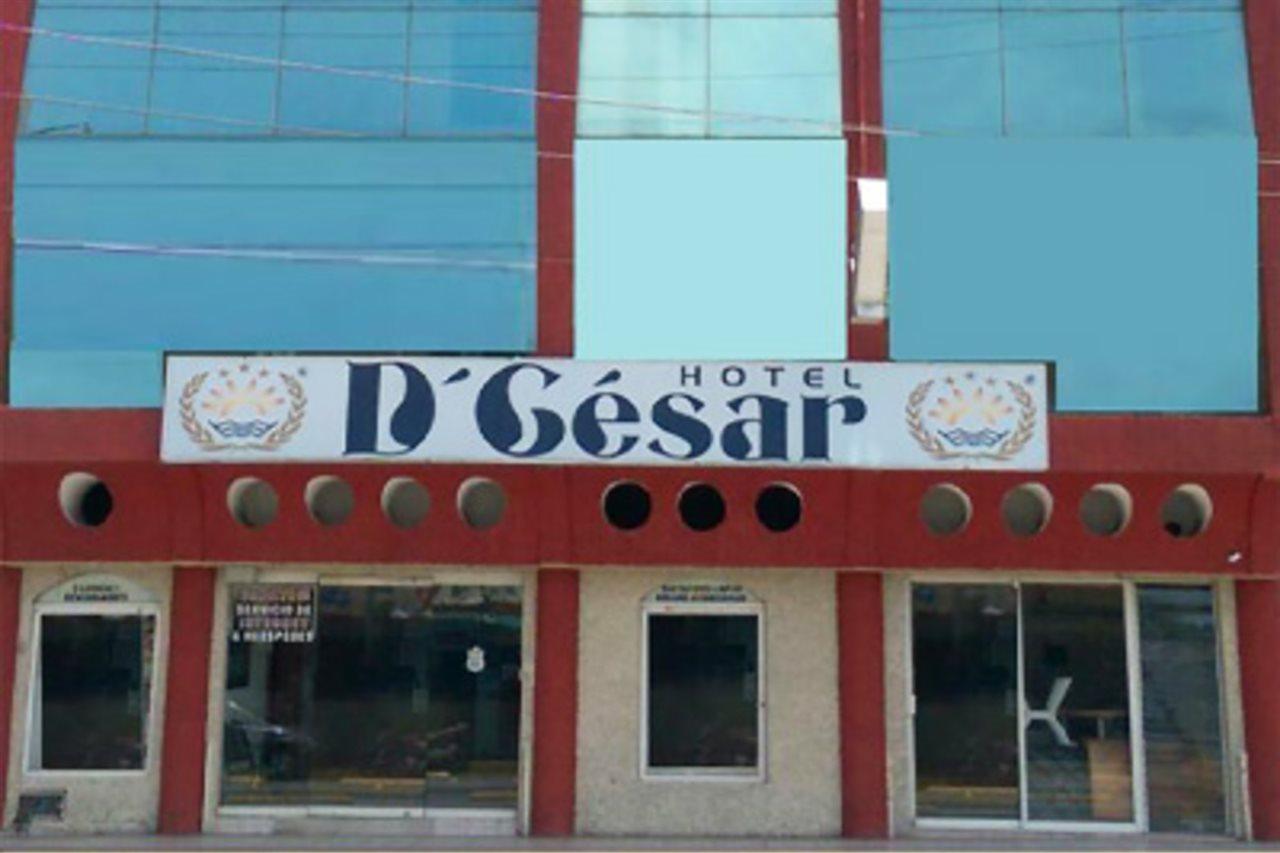 D'Cesar Hotel 阿卡普尔科 外观 照片